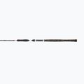 Canna da pesca Penn Legion Cat Silver AlLRound 2 Sec nero/argento 5