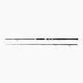 Penn Legion Cat Silver Power AR 2 Sec nero/argento canna da catfish