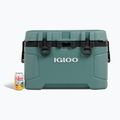 Igloo Trailmate 52 Roller frigorifero da escursione 49 l abete rosso/grigio ossidiano 15