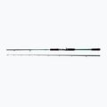 Canna da lancio Abu Garcia Beast X Pike 842 Xh 40-140G