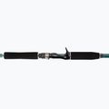 Canna da lancio Abu Garcia Beast X Pike 842 Xh 40-140G 3