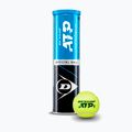 Palline da tennis Dunlop ATP 4 pezzi giallo 601314