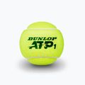 Palline da tennis Dunlop ATP 4 pezzi giallo 601314 3