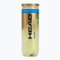Palline da padel HEAD Padel Pro S+ 3 pz. giallo