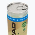 Palline da padel HEAD Padel Pro S+ 3 pz. giallo 2