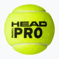 Palle da paddle HEAD 3B HEAD Pro 3 pz. 2