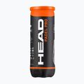 Palle da paddle HEAD 3B HEAD Pro 3 pz. 3