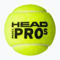 Palle da paddle HEAD 3B HEAD Pro S 3 pz. 2