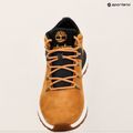 Scarpe Timberland Sprint Trekker Mid Lace Uomo in nabuk nero e grano 9