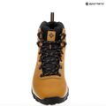 Columbia Newton Ridge Plus II Wp alce/nero scarpe da trekking da uomo 18