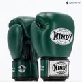 WINDY Guantoni da boxe classici in vera pelle verde 8