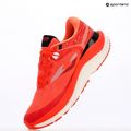 Scarpe da corsa da uomo Joma Fenix coral 7