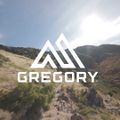 Gregory Kiro 20 l RC zaino da trekking blu legione 4
