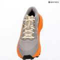 Scarpe da corsa da uomo Salomon Ultra Flow 2 GTX gull/turmeric/white pepper 10