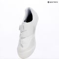 Scarpe da strada da uomo Shimano SH-RC503 white 16