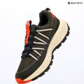 Scarpe da trekking da uomo Jack Wolfskin Wild Hike Texapore Low obsidian moss 17