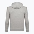 Felpa GAP XLS FT Arch FZ HD uomo b10 grigio erica 6