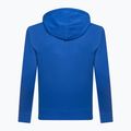 Felpa GAP XLS FT Arch FZ HD admiral 013 da uomo 4