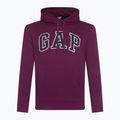 Felpa da uomo GAP V-Heritage Logo PO SNL beach plum 2
