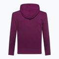 Felpa da uomo GAP V-Heritage Logo PO SNL beach plum 3