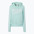 Felpa donna Reebok Identity Big Logo Fleece glitch aqua 5