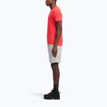 Pantaloncini da allenamento Reebok Identity Small Logo Fleece da uomo, grigio erica/rosso vettoriale medio 2