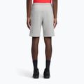 Pantaloncini da allenamento Reebok Identity Small Logo Fleece da uomo, grigio erica/rosso vettoriale medio 3