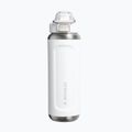 Borraccia termica Stanley Classic Wellspring frost