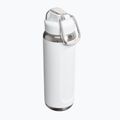 Borraccia termica Stanley Classic Wellspring frost 2