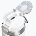 Borraccia termica Stanley Classic Wellspring frost 3