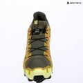 Scarpe da corsa uomo Salomon Speedcross 6 GTX grape leaf/aspargus green 16