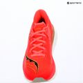 Scarpe da corsa donna Saucony Endorphin Azura vizired 16