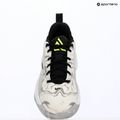 Scarpe da basket uomo Nike Giannis Immortality 5 white/off white/metallic silver 16