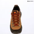 Scarpe da trekking uomo Columbia Newton Alpine Low grizzly bear/red oxide 15