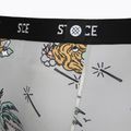 Boxer Stance Magic Brief grey 4