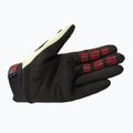Guanti da ciclismo Fox Racing Dirtpaw sea spray 4