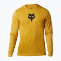 Maniche lunghe ciclismo uomo Fox Racing Ranger Tru Dri daffodil