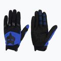 Guanti da ciclismo da uomo Fox Racing Dirtpaw blu