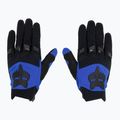 Guanti da ciclismo da uomo Fox Racing Dirtpaw blu 2