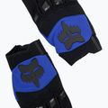 Guanti da ciclismo da uomo Fox Racing Dirtpaw blu 5
