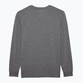 Maglia a maniche lunghe da ciclismo da uomo Fox Racing Absolute Tech heather graphite 2