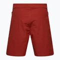 Pantaloncini da ciclismo Fox Racing Ranger Liner Jr per bambini, ruggine 2