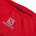 Salomon Pulse cintura da corsa con bacche di goji 4