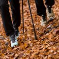 Scarponi da trekking da uomo Salomon X Ultra 4 GTX canguro/vanila/autunno blaze 12