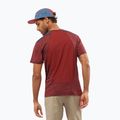 Maglietta da trekking Salomon Outline cabernet/mood da uomo 3