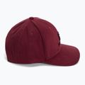 Cappello da baseball Salomon Logo cabernet 2