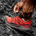 Salomon Pulsar Trail scarpe da corsa da uomo rosso papavero/uccello/nero 13