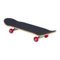 Santa Cruz Classic Dot Mid 7.8 skateboard 2