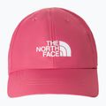 Berretto da baseball The North Face Uth Horizon rosa ardesia per bambini 2