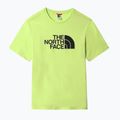 Maglietta da uomo The North Face Easy sharp verde 8